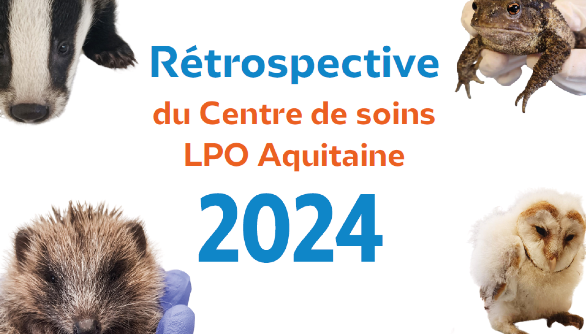 Le Centre de soins fait sa rétrospective 2024 !